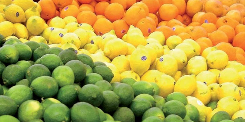 Les agrumes marocains accèdent au marché japonais