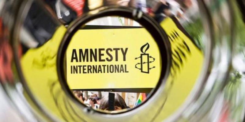 La DIDH recadre Amnesty International
