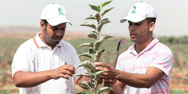 Bio-intrants: Eléphant Vert, 1er hub en Afrique