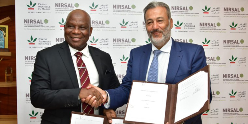 CAM renforce son partenariat avec la NIRSAL