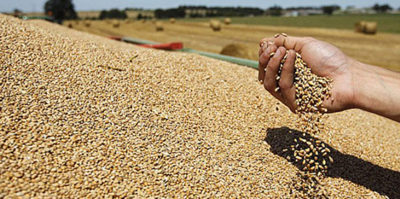 “Grain et Milling Expo” : quatre conventions pour développer le domaine des céréales