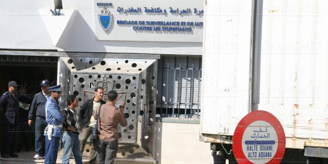 Oujda: La Douane met en échec le trafic de plus de 1.700 chardonnerets
