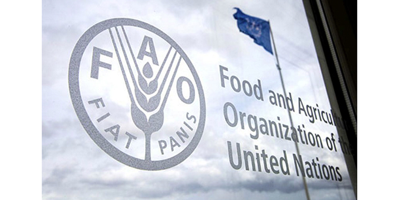 FAO: Le Maroc, membre du Conseil d’Administration