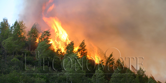 Risque d’incendies de forêts "extrême" dans 10 provinces