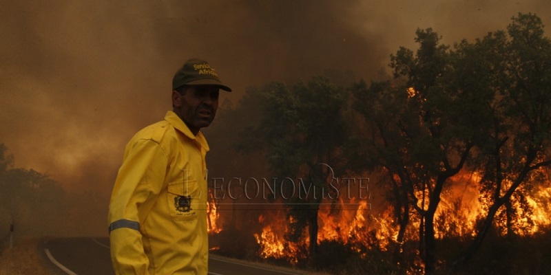 Incendies de forêts : Voici les zones les plus exposées jusqu