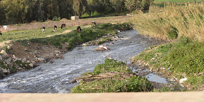 Pollution Oued Sebou: Le ministère de l’Environnement s