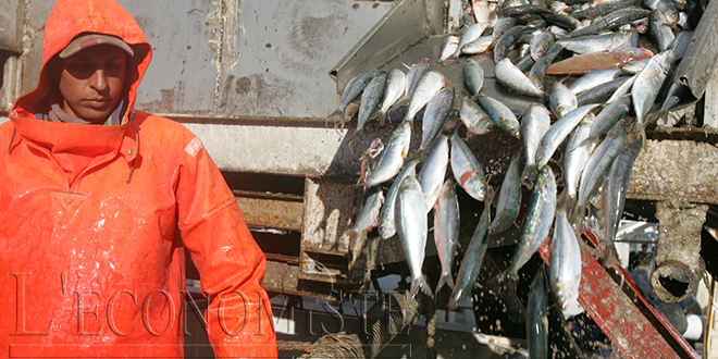 Pêche: Hausse de 35% de la valeur des débarquements