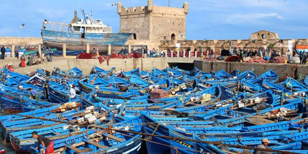 Pêche côtière et artisanale: L'essentiel du rapport de l'ONP