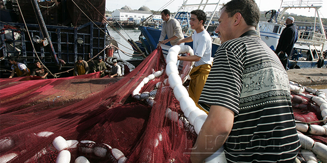 Pêche: Hausse de 36% de la valeur des débarquements en 2021