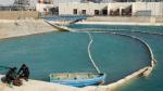 Nord : Plus de 150 millions de DH pour le dessalement de l'eau de mer
