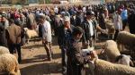 Aïd al-Adha: 3 millions de têtes préparées pour l'abattage 