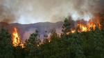 M'diq-Fnideq: L'incendie de "Kodiat Tifour" presque entièrement circonscrit