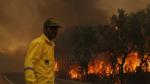 Incendies de forêts : Voici les zones les plus exposées jusqu'au 1er octobre