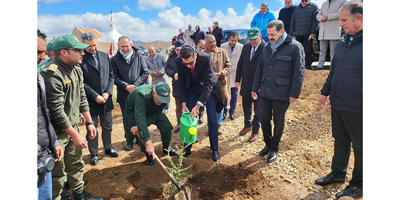 Ifrane: ABL Aviation encourage la plantation d'arbres de cèdre
