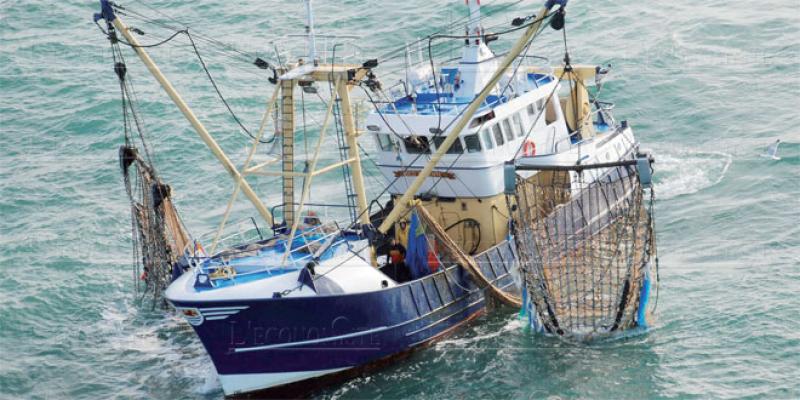 Accord de pêche Maroc-UE: 100.000 tonnes contre 52,2 millions d’euros