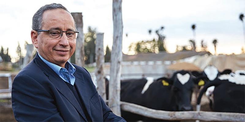 Méthane généré par les vaches: Un produit marocain réduit les émissions de 30%!