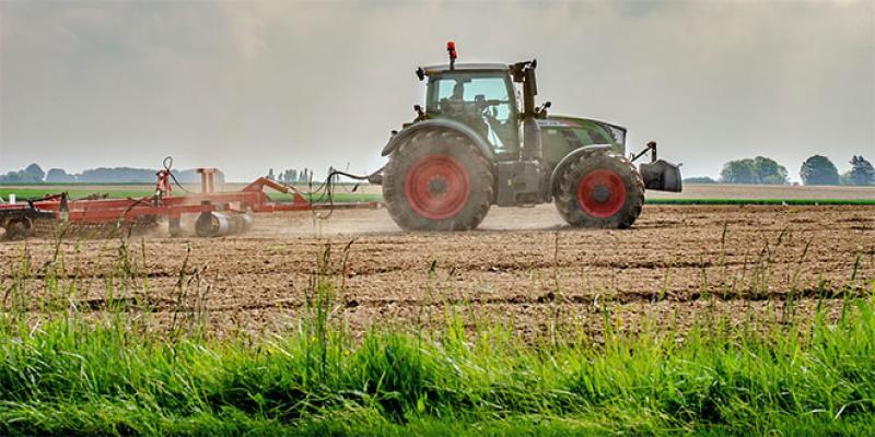 Agriculture: Le semis direct, levier de grand rendement