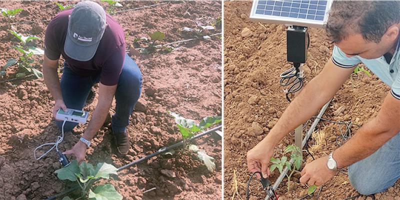 Agriculture: L'Oriental passe au «Water Management»