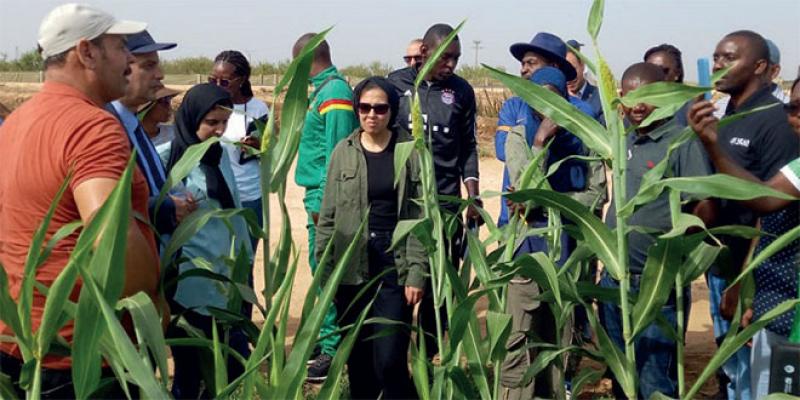 Agriculture/Gestion de l’eau: Le Maroc prisé pour son expertise
