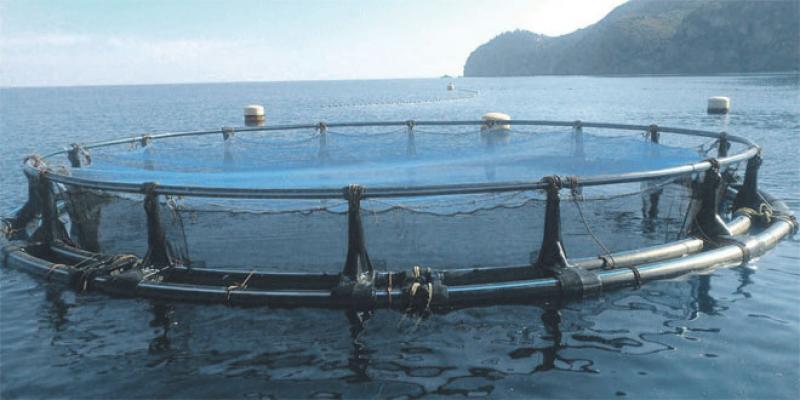 Une série de formations dans l’aquaculture