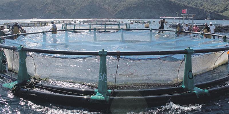 Aquaculture: Le nouveau dispositif chez les députés