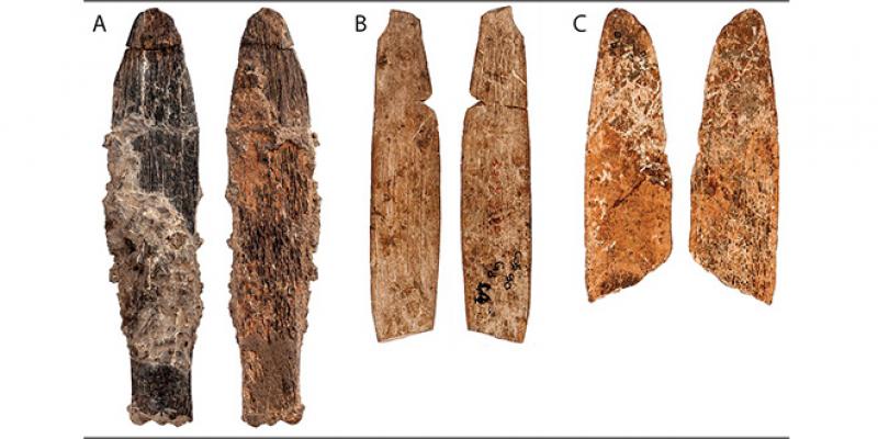 Rabat : Découverte d’un outil en os d’animaux vieux de 90.000 ans	