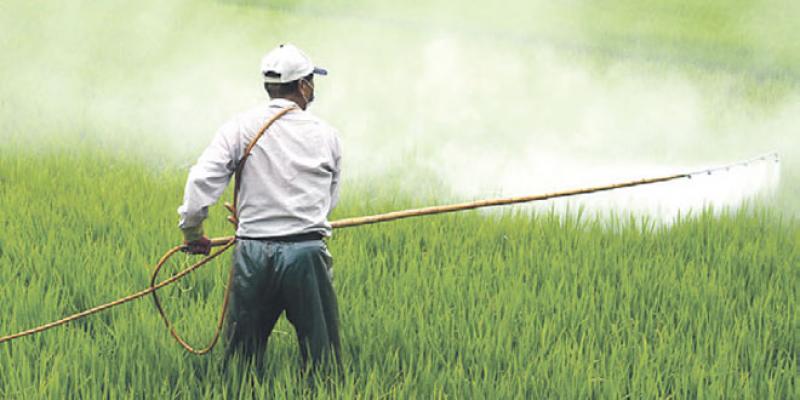 Bio-pesticides et bio-stimulants: Le marché accélère sa croissance