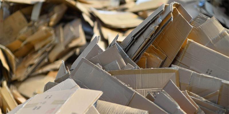 Papier/Carton/Déchets: Le contingent à l’export fixé à 20.000 tonnes