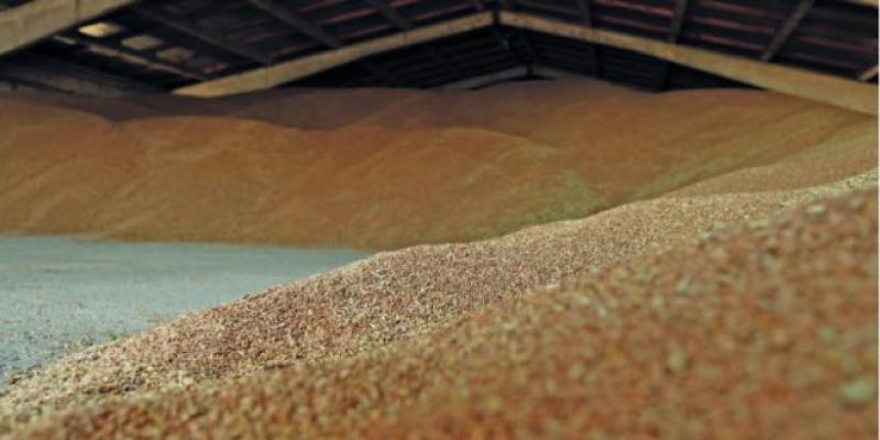 Céréales: Bientôt la fin de la crise…