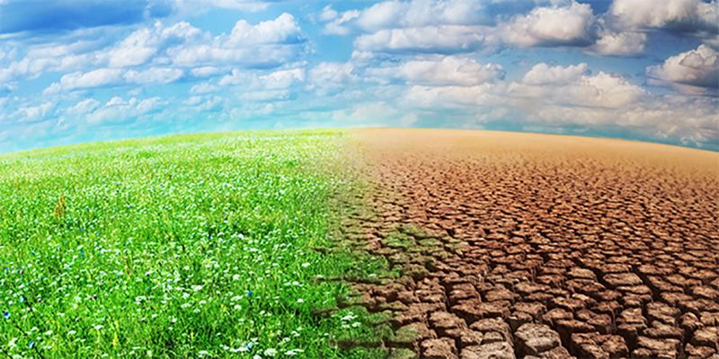 Soutien à la recherche agricole face au climat : Sadiki appelle à l'action
