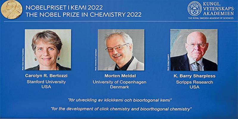 Prix Nobel: La «chimie moderne» récompensée
