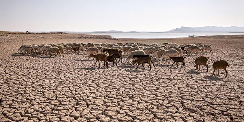 Climate/World Bank: What the new report on Morocco contains