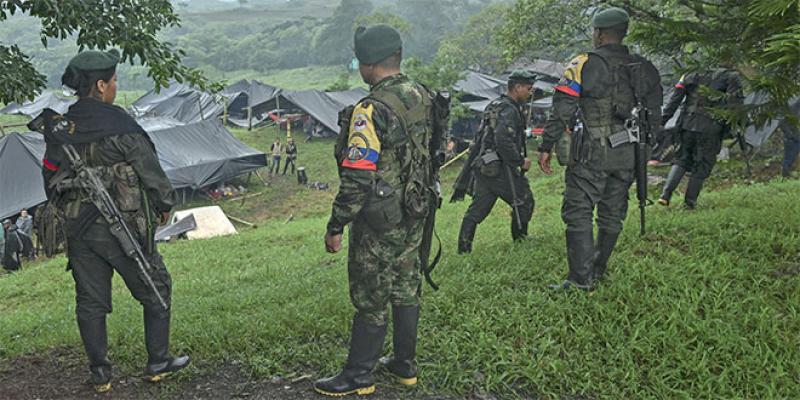 Colombie: Les FARC se disent «prêts à la paix»!