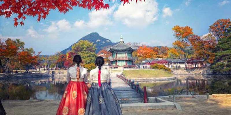 Korea Culture Week: immersion enrichissante dans la culture coréenne