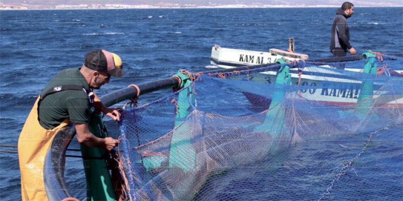 Dakhla, nouveau fief de l'aquaculture