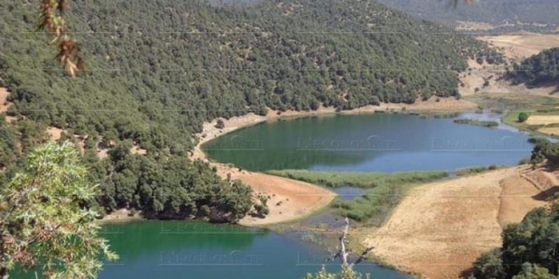 Eaux et forêts: Six millions d’hectares immatriculés