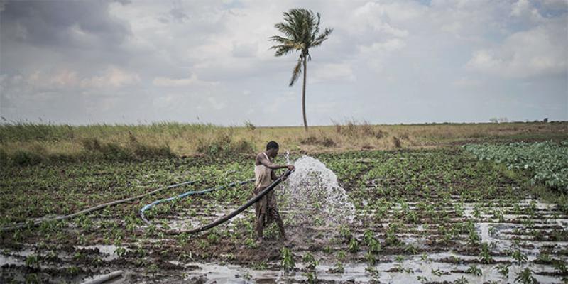 Les eaux usées, mal gérées et gaspillées dans le monde