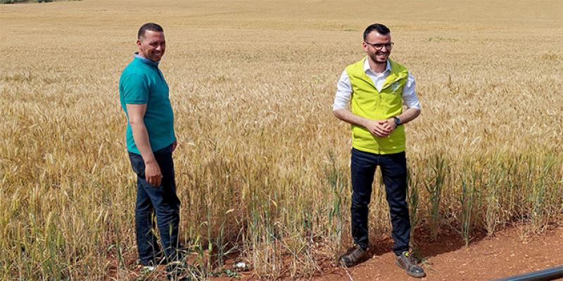 El Hajeb-Agriculture: Le programme Al Moutmir a tenu toutes ses promesses