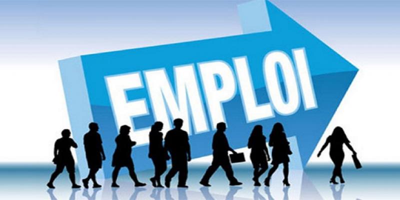 Marché du travail: Plein emploi dans la campagne, «plein chômage» en ville