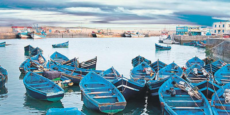 Le CRI veut booster l’investissement à Essaouira