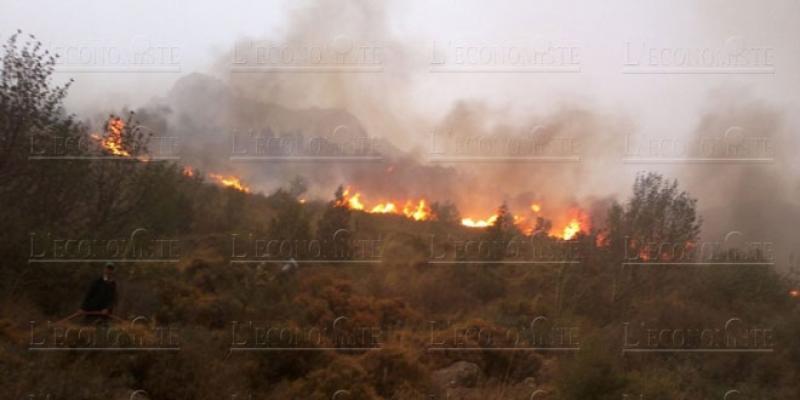 Lutte contre les feux de forêts: Le Maroc confirme son expertise en Méditerranée