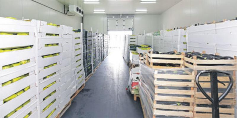 Fruits et légumes: Le CESE recommande un cadre juridique pour le stockage