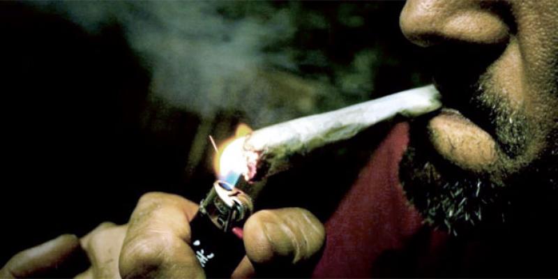 Enquête L’Economiste-Sunergia: Cachez-moi ce fumeur de cannabis que je ne saurais voir!