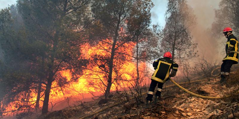 Incendies de forêt : Exercices de simulation à Tétouan