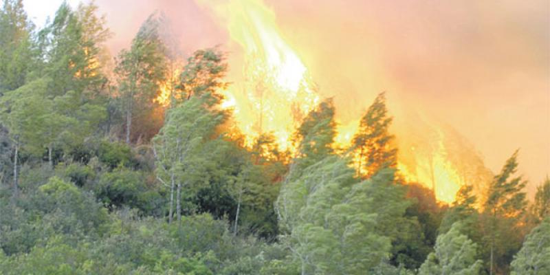  Incendies de forêt : La vigilance au niveau maximal