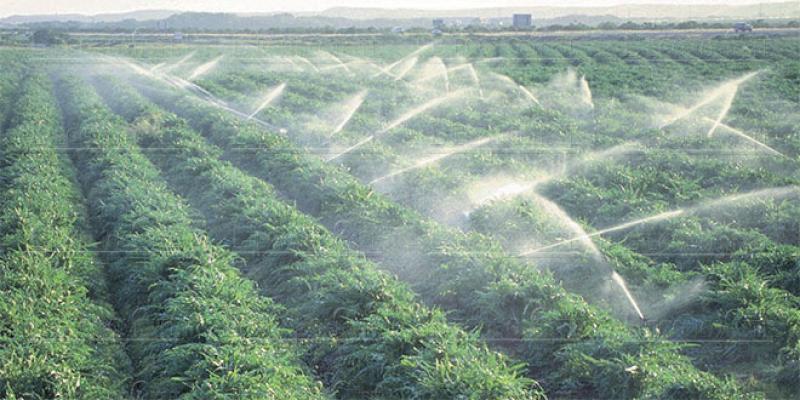 Changements climatiques en Afrique: L’irrigation comme réponse aux défis