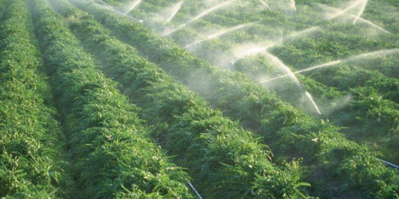 Irrigation : Nouveau prêt de la BAD