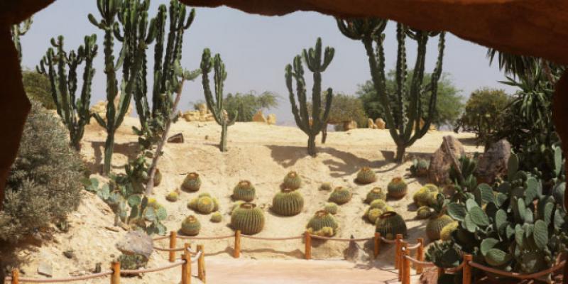 Dossier Agadir - Un jardin exotique avec 300... crocodiles et reptiles pour l’animation