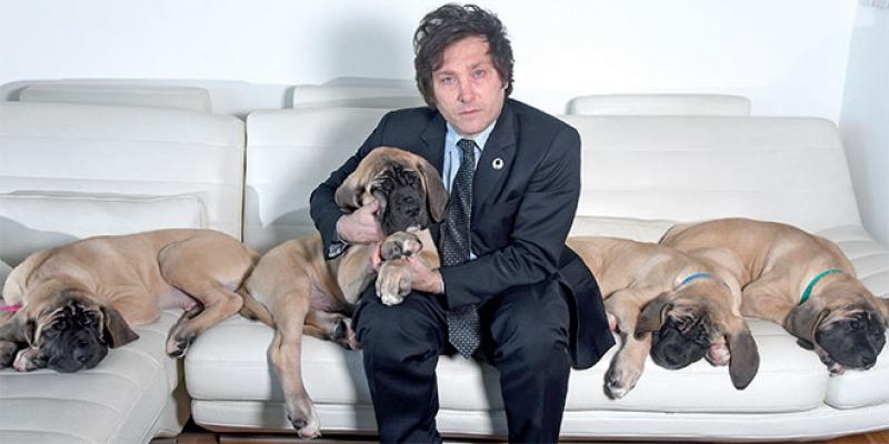 Argentine: Les chiens de Milei objets de blagues