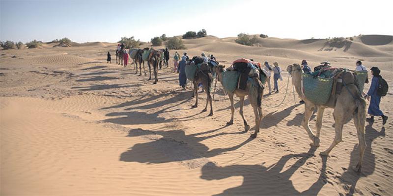 Kafila, une caravane des arts et du savoir